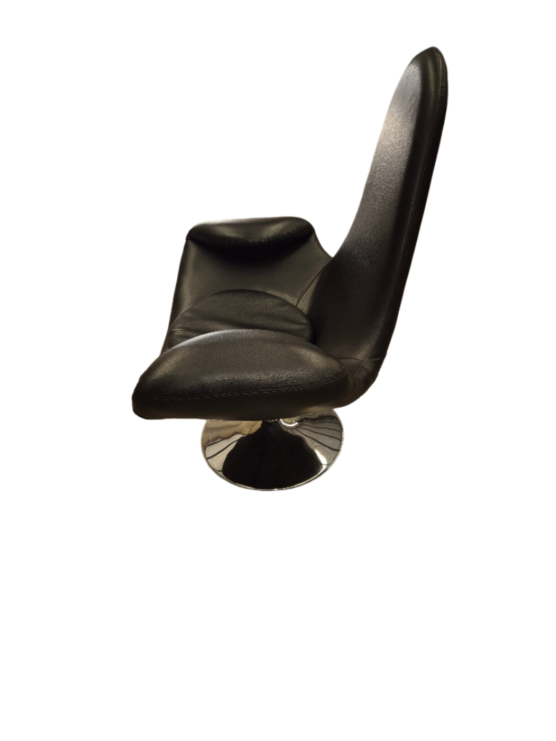 Mid Century Modern - Image